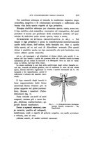 giornale/UFI0040156/1916/unico/00000223