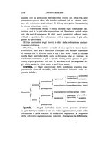 giornale/UFI0040156/1916/unico/00000226