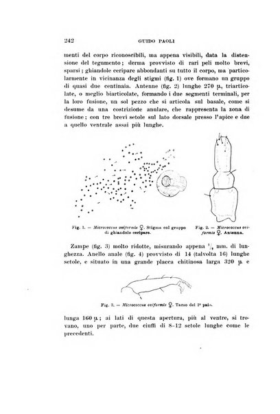 Redia giornale di entomologia pubblicato dalla R. Stazione di entomologia agraria