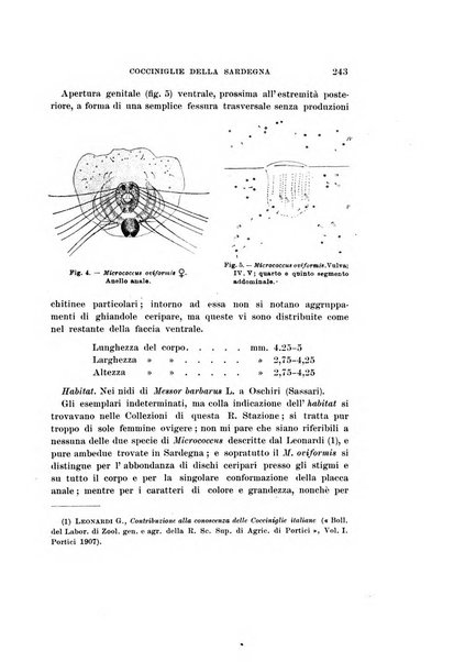 Redia giornale di entomologia pubblicato dalla R. Stazione di entomologia agraria