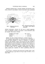 giornale/UFI0040156/1916/unico/00000253