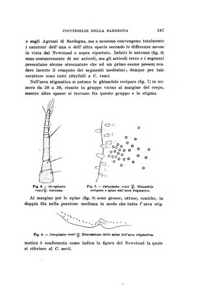 Redia giornale di entomologia pubblicato dalla R. Stazione di entomologia agraria