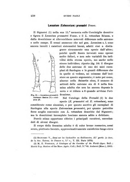 Redia giornale di entomologia pubblicato dalla R. Stazione di entomologia agraria