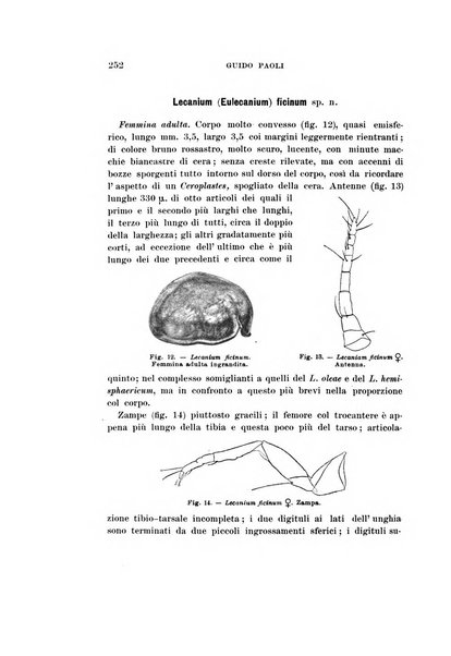 Redia giornale di entomologia pubblicato dalla R. Stazione di entomologia agraria