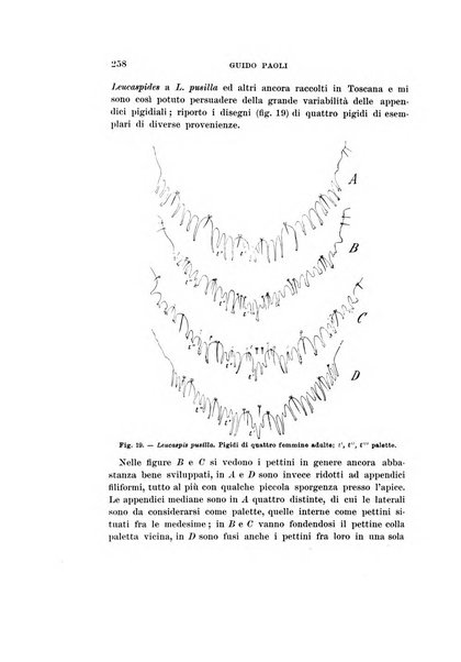 Redia giornale di entomologia pubblicato dalla R. Stazione di entomologia agraria