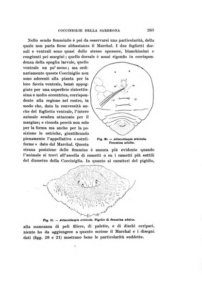 Redia giornale di entomologia pubblicato dalla R. Stazione di entomologia agraria