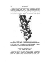 giornale/UFI0040156/1916/unico/00000274