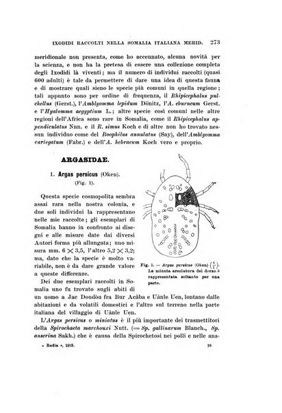 Redia giornale di entomologia pubblicato dalla R. Stazione di entomologia agraria