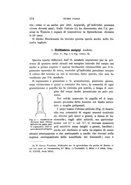 Redia giornale di entomologia pubblicato dalla R. Stazione di entomologia agraria