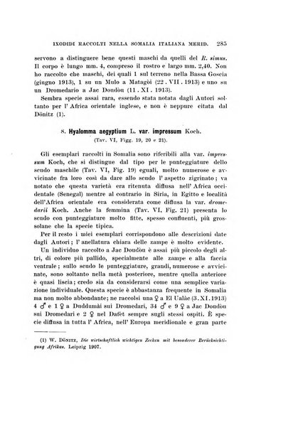 Redia giornale di entomologia pubblicato dalla R. Stazione di entomologia agraria