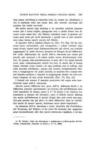 Redia giornale di entomologia pubblicato dalla R. Stazione di entomologia agraria