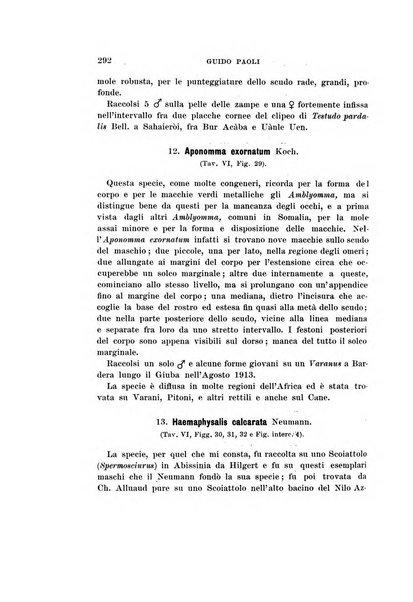 Redia giornale di entomologia pubblicato dalla R. Stazione di entomologia agraria