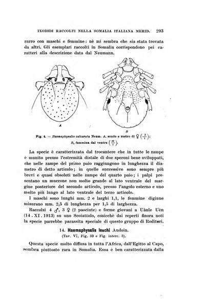 Redia giornale di entomologia pubblicato dalla R. Stazione di entomologia agraria