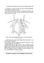 giornale/UFI0040156/1916/unico/00000313