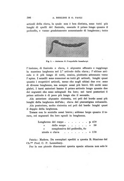 Redia giornale di entomologia pubblicato dalla R. Stazione di entomologia agraria