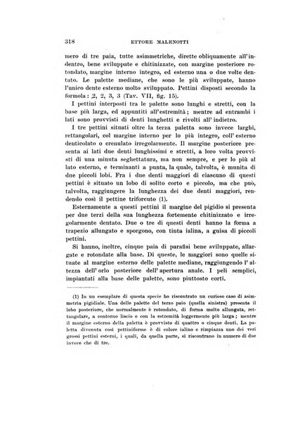 Redia giornale di entomologia pubblicato dalla R. Stazione di entomologia agraria