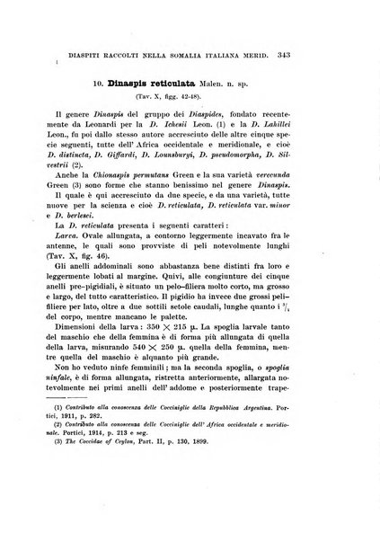 Redia giornale di entomologia pubblicato dalla R. Stazione di entomologia agraria