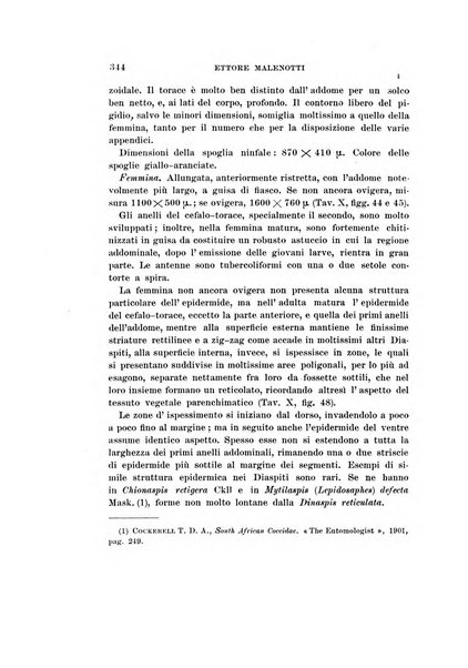 Redia giornale di entomologia pubblicato dalla R. Stazione di entomologia agraria