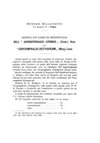 giornale/UFI0040156/1918/V.12/00000025