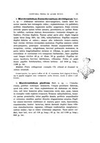 giornale/UFI0040156/1918/V.12/00000031