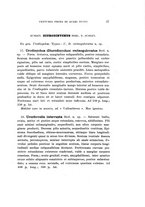 giornale/UFI0040156/1918/V.12/00000037