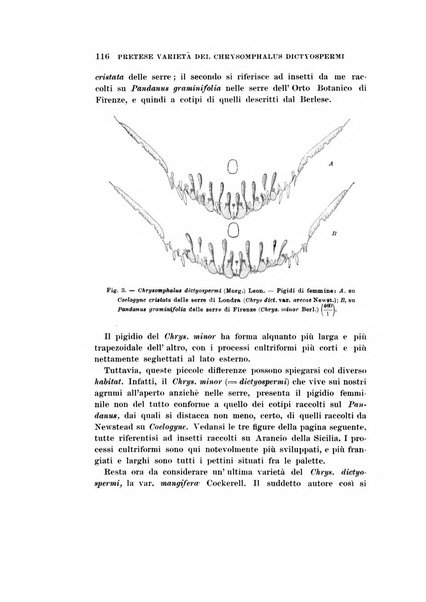 Redia giornale di entomologia pubblicato dalla R. Stazione di entomologia agraria