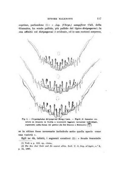 Redia giornale di entomologia pubblicato dalla R. Stazione di entomologia agraria