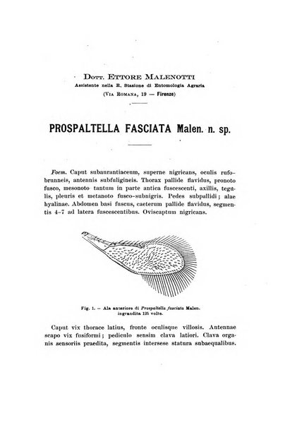 Redia giornale di entomologia pubblicato dalla R. Stazione di entomologia agraria