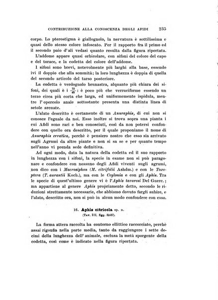 Redia giornale di entomologia pubblicato dalla R. Stazione di entomologia agraria