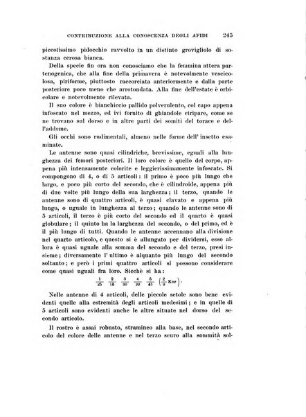 Redia giornale di entomologia pubblicato dalla R. Stazione di entomologia agraria