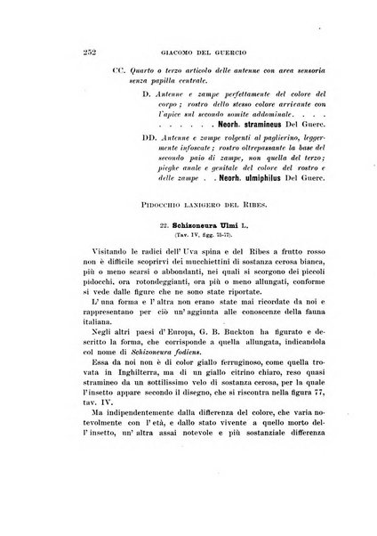 Redia giornale di entomologia pubblicato dalla R. Stazione di entomologia agraria