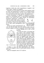 giornale/UFI0040156/1918/V.12/00000365