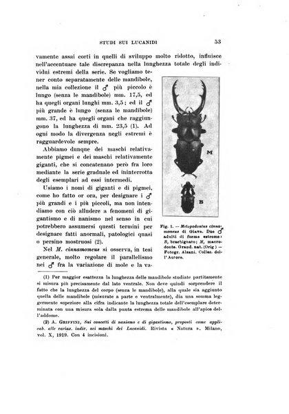 Redia giornale di entomologia pubblicato dalla R. Stazione di entomologia agraria