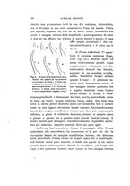 giornale/UFI0040156/1921/unico/00000064