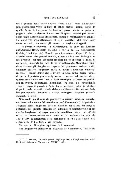 Redia giornale di entomologia pubblicato dalla R. Stazione di entomologia agraria