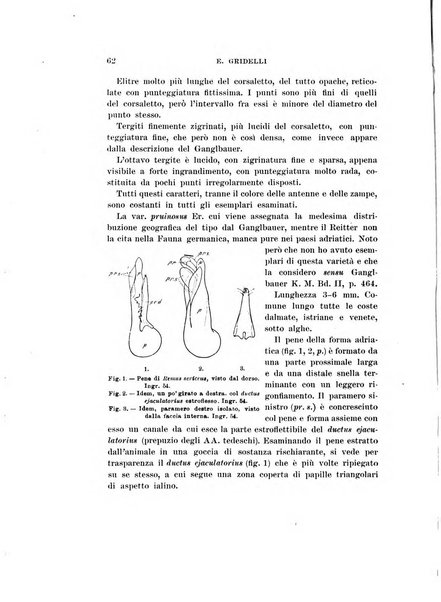 Redia giornale di entomologia pubblicato dalla R. Stazione di entomologia agraria