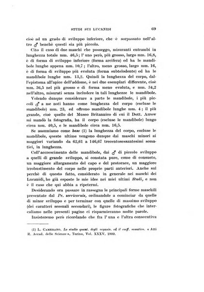 Redia giornale di entomologia pubblicato dalla R. Stazione di entomologia agraria