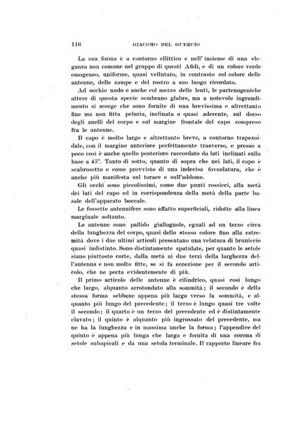 Redia giornale di entomologia pubblicato dalla R. Stazione di entomologia agraria