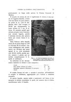 giornale/UFI0040156/1924/unico/00000085