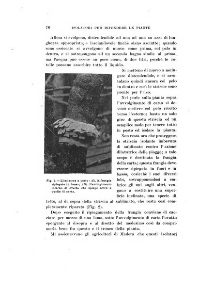 Redia giornale di entomologia pubblicato dalla R. Stazione di entomologia agraria