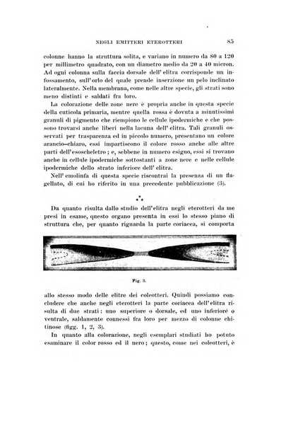 Redia giornale di entomologia pubblicato dalla R. Stazione di entomologia agraria