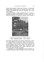 giornale/UFI0040156/1929/unico/00000027