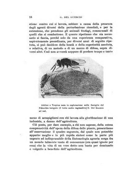 Redia giornale di entomologia pubblicato dalla R. Stazione di entomologia agraria