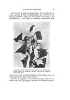 giornale/UFI0040156/1929/unico/00000043