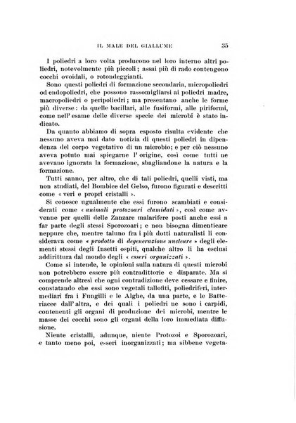 Redia giornale di entomologia pubblicato dalla R. Stazione di entomologia agraria