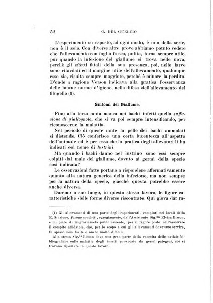 Redia giornale di entomologia pubblicato dalla R. Stazione di entomologia agraria