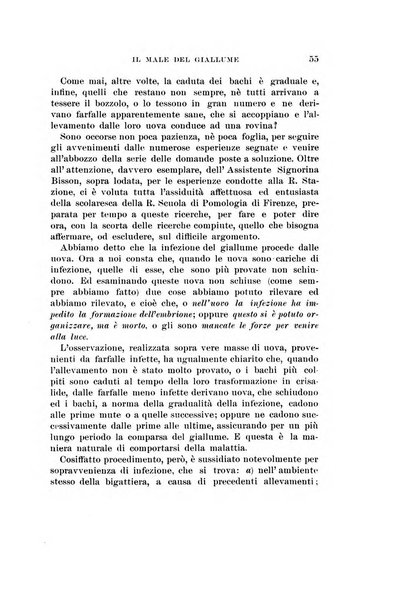 Redia giornale di entomologia pubblicato dalla R. Stazione di entomologia agraria