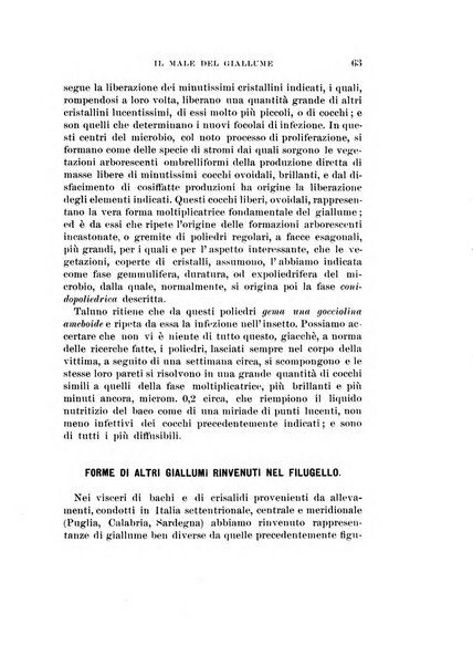 Redia giornale di entomologia pubblicato dalla R. Stazione di entomologia agraria