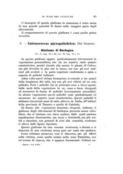 Redia giornale di entomologia pubblicato dalla R. Stazione di entomologia agraria