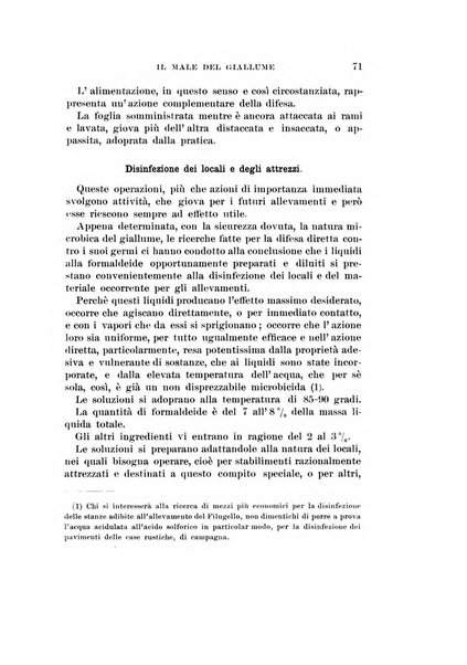 Redia giornale di entomologia pubblicato dalla R. Stazione di entomologia agraria